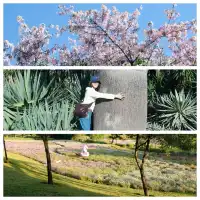 泉州廈門7日遊,把時間浪費在陽光裡