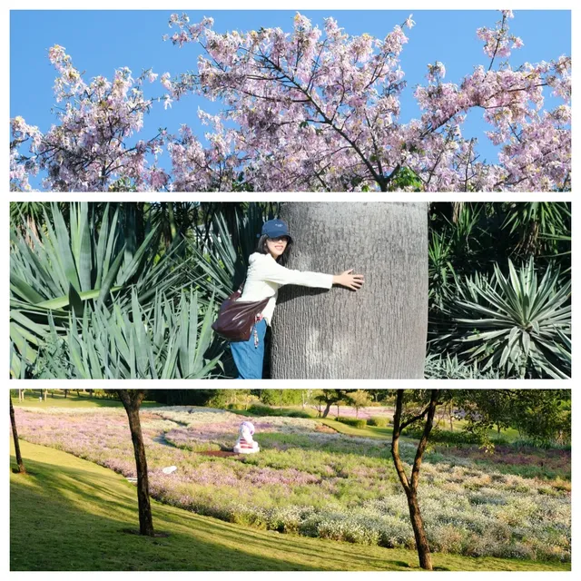 泉州廈門7日遊,把時間浪費在陽光裡 泉州廈門7日遊,把時間浪費在陽光裡