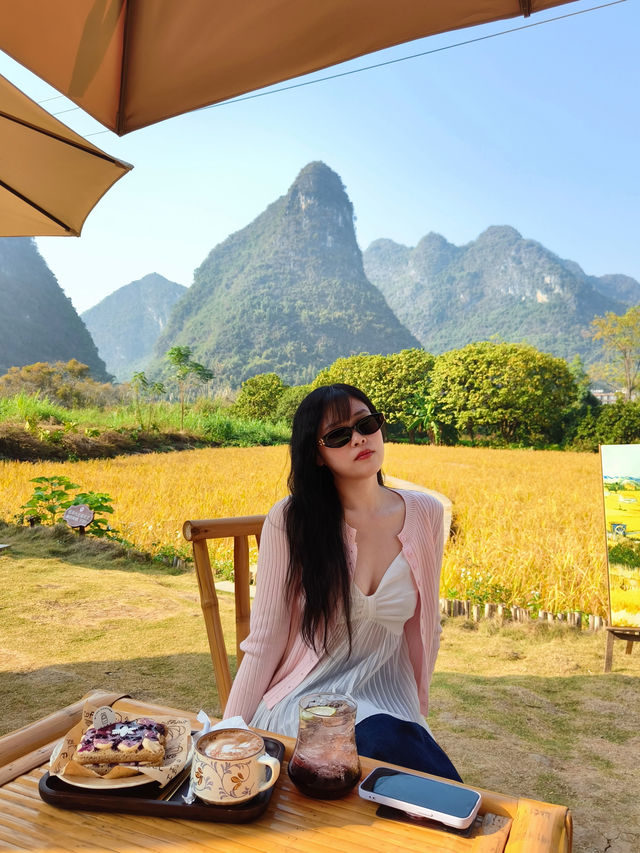 風吹麥浪 小紅書跟風最成功的一次好chill 風吹麥浪 小紅書跟風最成功的一次好chill