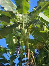 景邁山放空的48小時