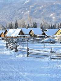 初冬喀納斯|雪域仙境裡的“人間淨土”深度之旅