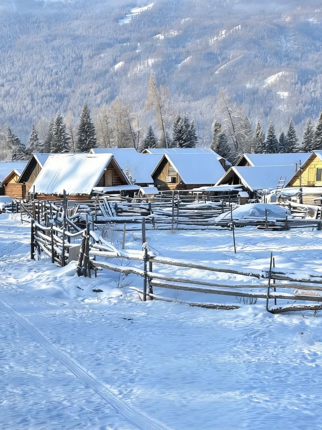 初冬喀納斯|雪域仙境裡的“人間淨土”深度之旅 初冬喀納斯|雪域仙境裡的“人間淨土”深度之旅