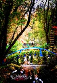 秋日來信,魔都私藏了一座油畫森林!|共青尋色指南