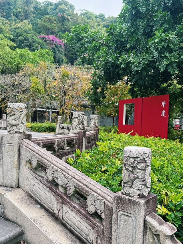 廣州1h週末躺平|肇慶山水吸氧天花板 廣州1h週末躺平|肇慶山水吸氧天花板