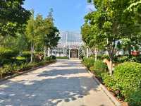 20250928   藏在北京的秘密森林：五洲植物樂園