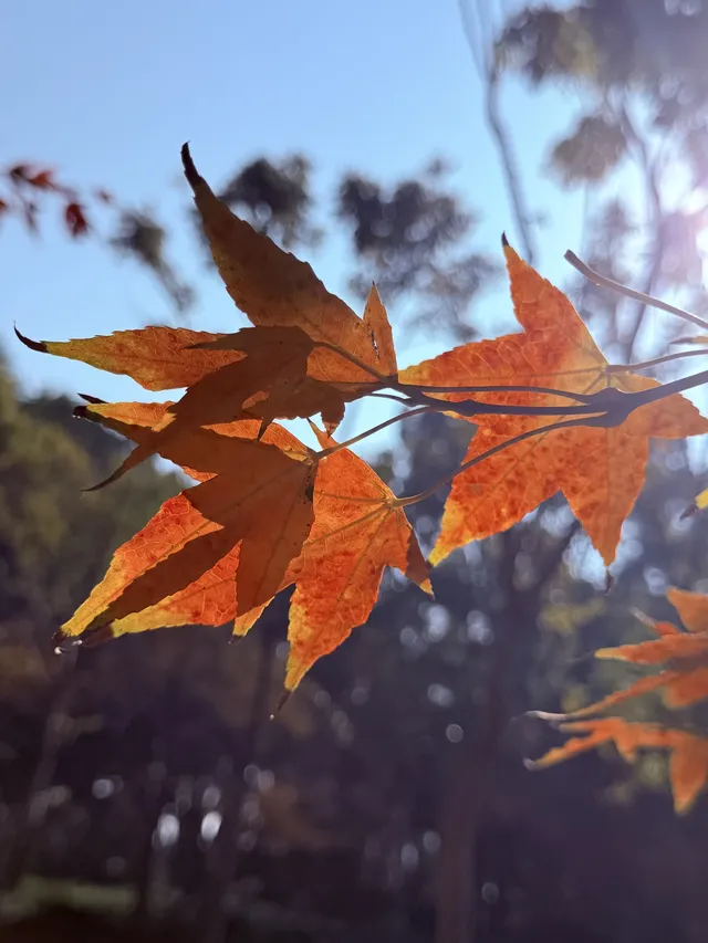 這風景好美,真的好想讓所有人🫘看到 這風景好美,真的好想讓所有人🫘看到