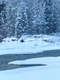 北疆冰雪仙境:喀納斯奇幻之旅!