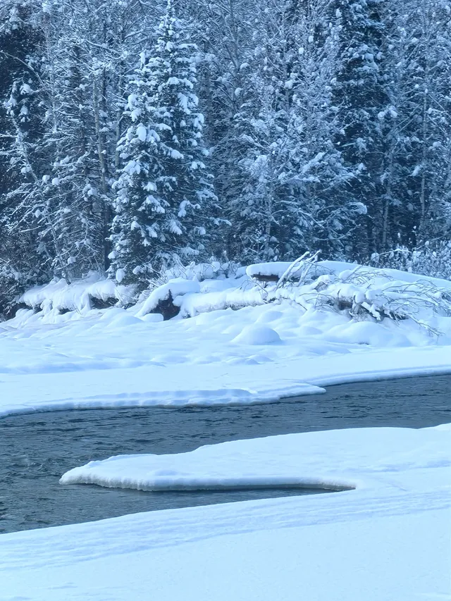 北疆冰雪仙境:喀納斯奇幻之旅! 北疆冰雪仙境:喀納斯奇幻之旅!