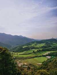 藏在深圳華僑城的慢生活天堂拍照打卡聖地!