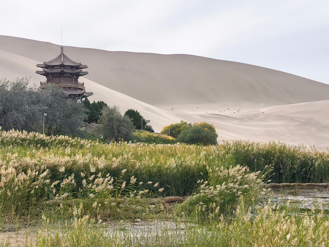 鳴沙山月牙泉のおすすめ砂漠ツアー2026年（2月更新）| Trip Moments