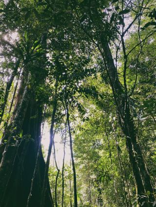 Malaysia | Chinese guesthouse owner puzzled: Why aren't Chinese people coming?