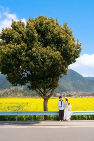 春の息吹に包まれた貴州の菜の花は満開を迎えています...