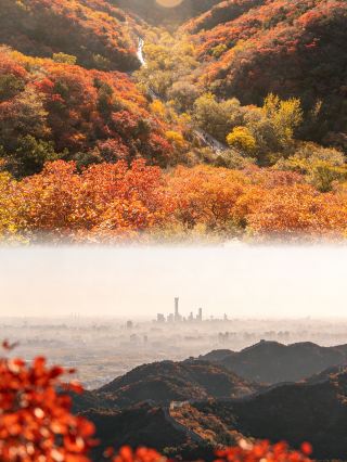 Осенью поездка в живописные холмы, благоухающие ароматом деревьев, стоит того.