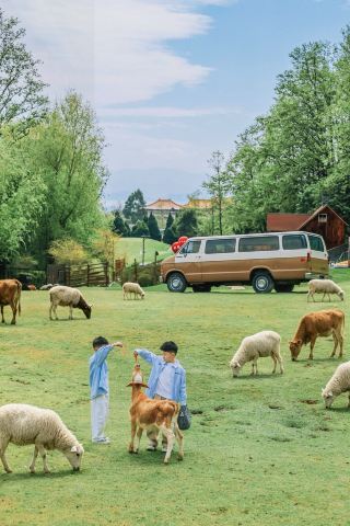 Must-See Hidden Little New Zealand in Dali for Kids This May Day Holiday