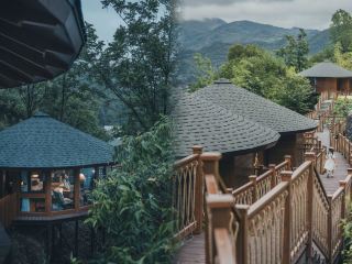 Homestay Highlights (Ankang Baihe · Hidden Countryside · Taste of Green Papaya)  
- Location: Qunli Village, Chengguan Town, Baihe County, not in Qinling, but high in the Han River Gorge