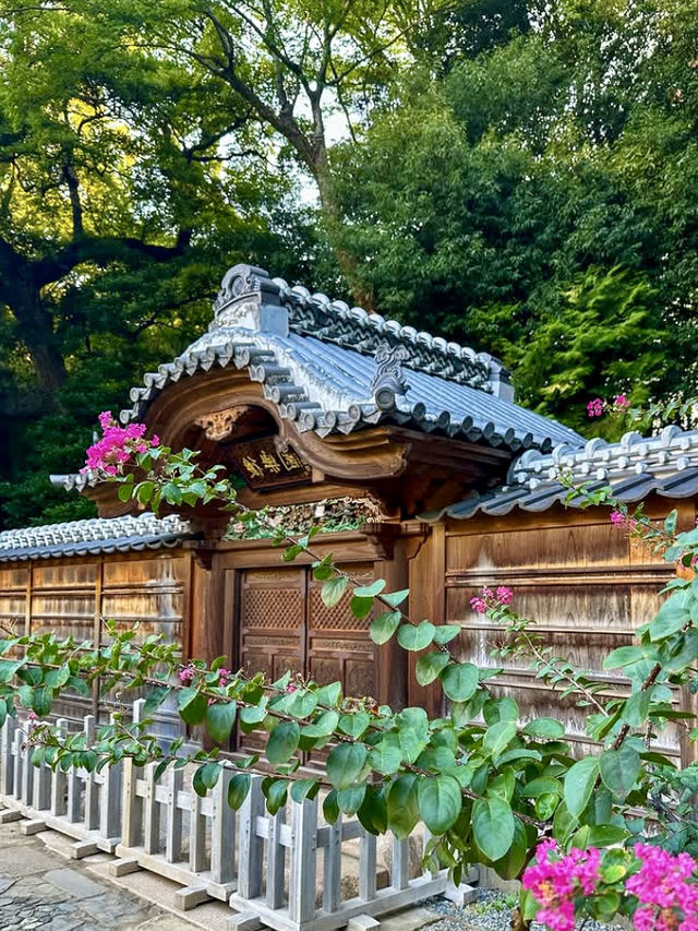 Explore Vibrant Okinawa City: Nature, Food & Scenic Ponds ☀️🌸🍣 Explore Vibrant Okinawa City: Nature, Food & Scenic Ponds ☀️🌸🍣