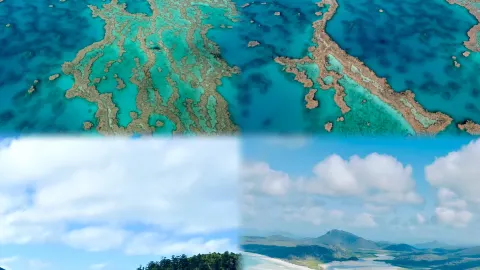 なぜオーストラリアとニュージーランドは一緒に旅行するのに適しているのか?一記事でわかりやすく解説 — traveler post in ワイカト地方