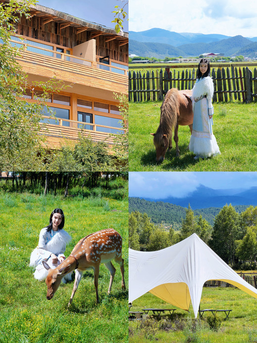This summer, escape the scorching heat of Shenzhen and fall into
