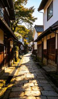 漫遊江戶風韻古鎮