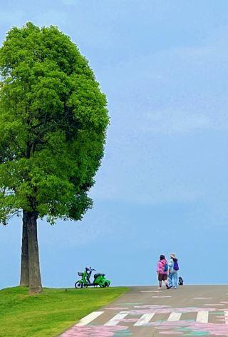 미륵 필수 방문 숲속 마을