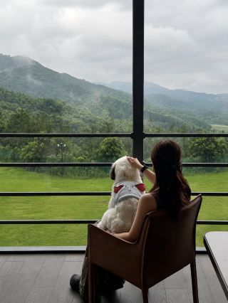 After moving into the mountains with my dog, I suddenly didn’t feel like rushing to see the sights