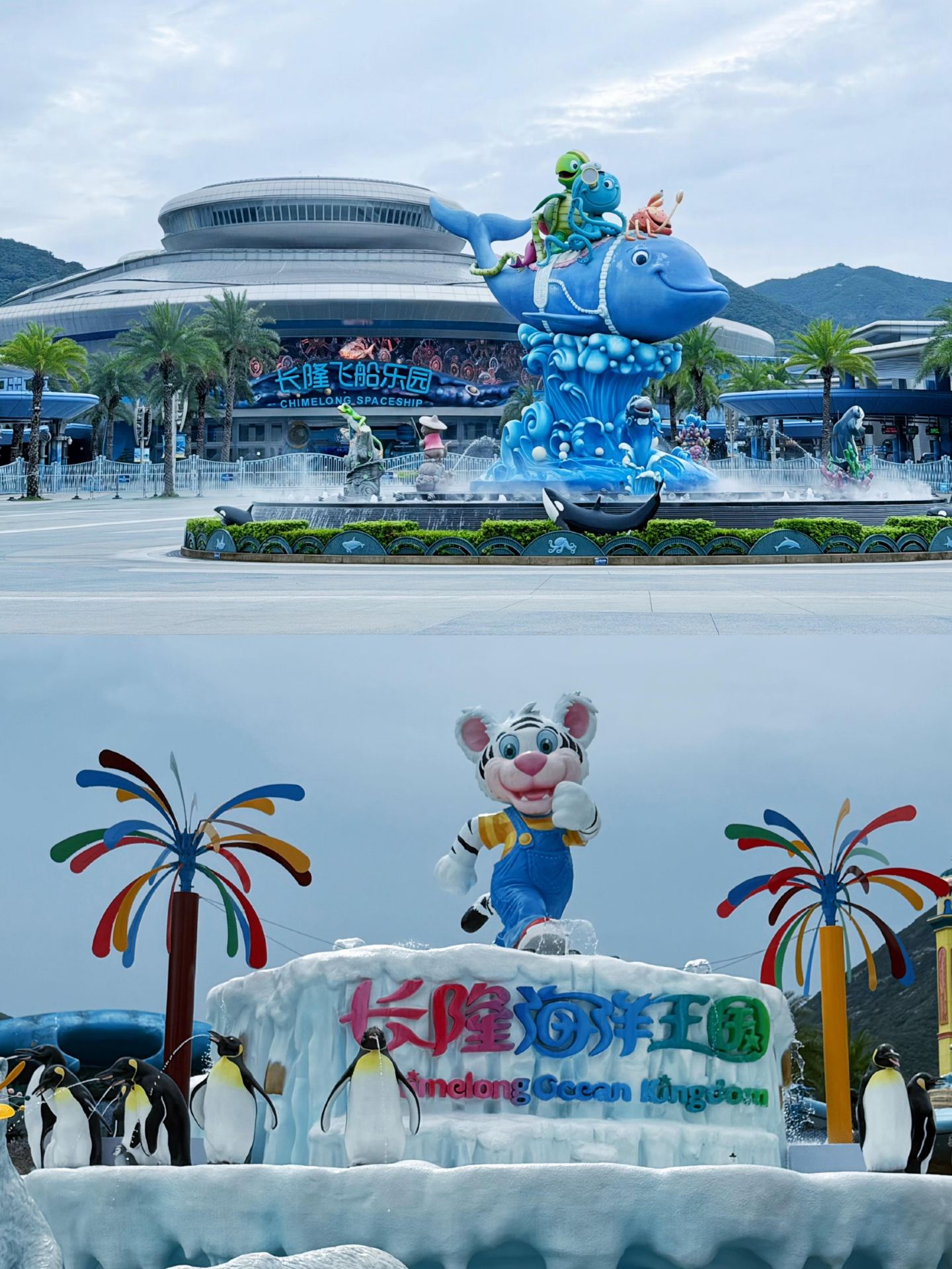 Zhuhai Chimelong | A hassle-free guide for moms is here~