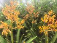 上海週末獨享花海