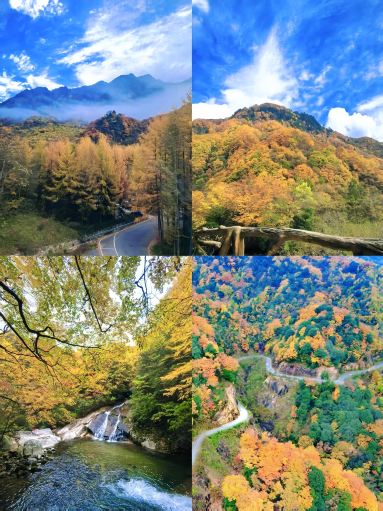 Stop obsessing over Japan and Canada; the autumn foliage on this