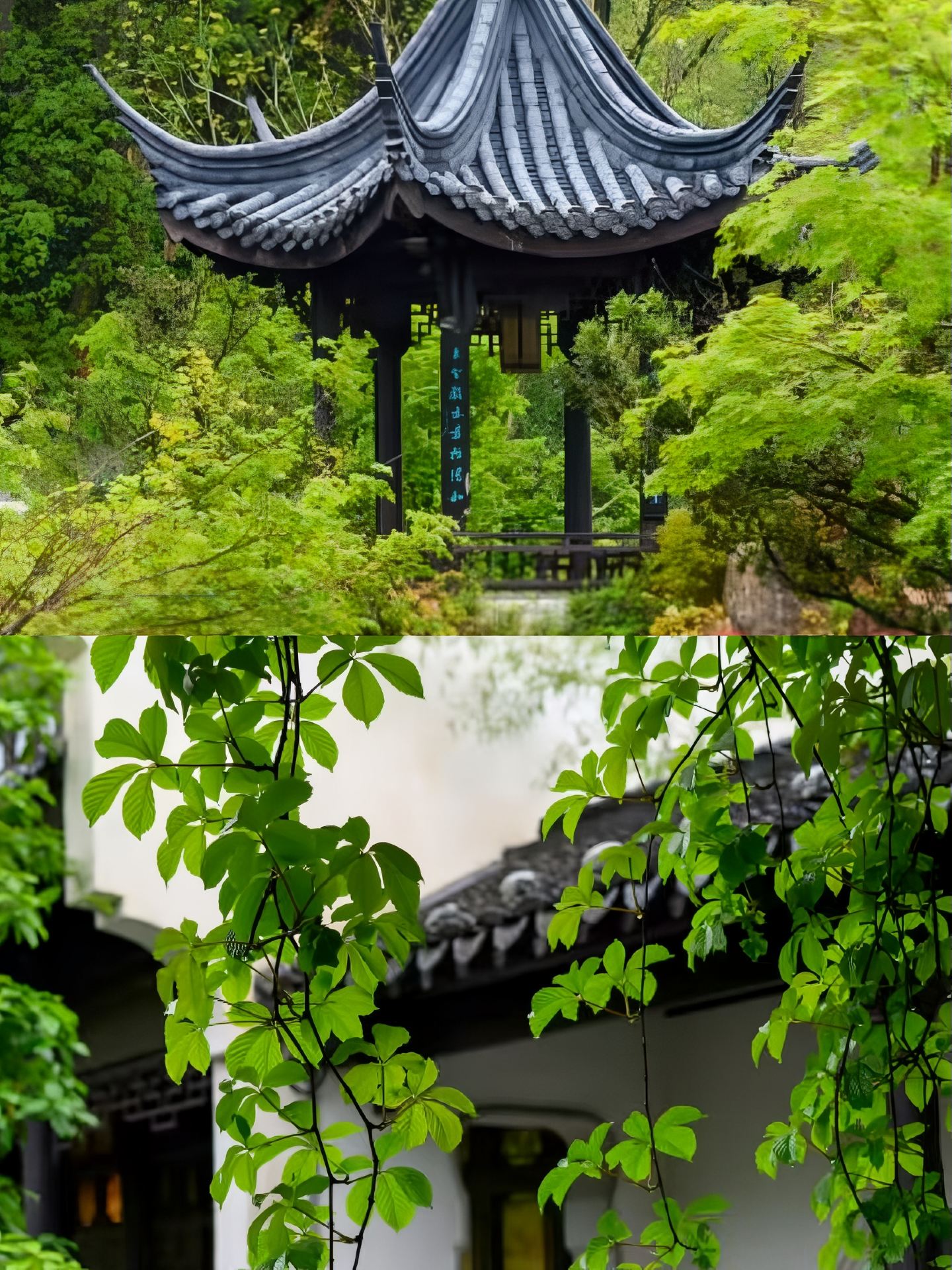 Just back from Lanxi, and the post-trip nostalgia is real.