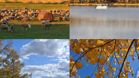 Just back from the Greater Khingan Mountains in the off-season. I really don't recommend going in September because it's just... — traveler post in Huma