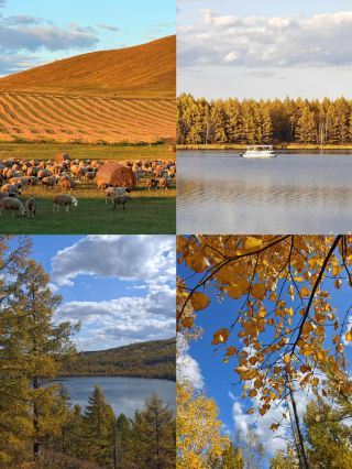 Just back from the Greater Khingan Mountains in the off-season. I really don't recommend going in September because it's just...
