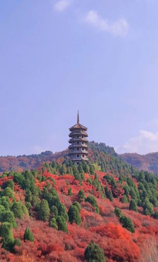 지난 홍엽곡 가을 실측, 진짜 산책 느낌, 천천히 가을을 감상하다