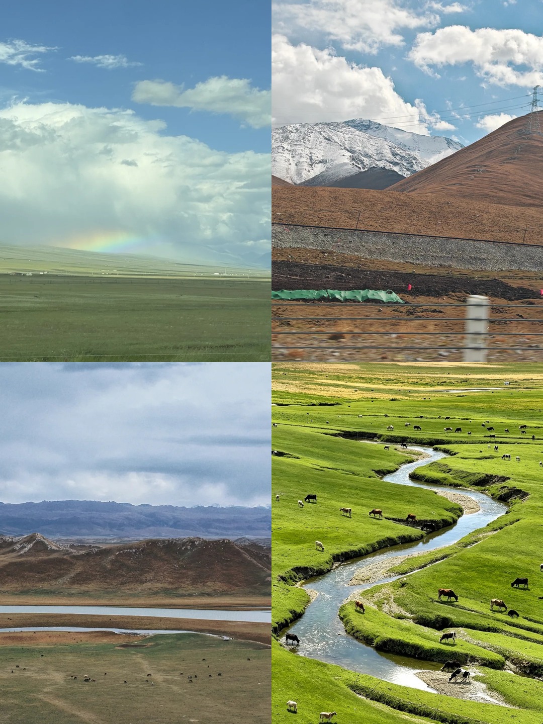When booking accommodation and activities in Bayanbulak Grassland, look closely at what low-priced bundles actually include