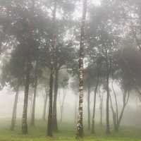 อุทยานแห่งชาติทองผาภูมิ