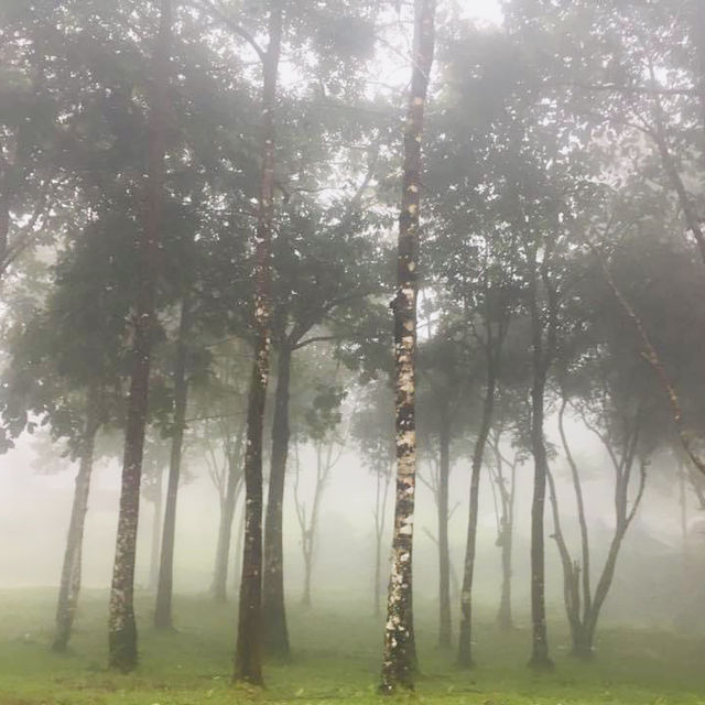 อุทยานแห่งชาติทองผาภูมิ