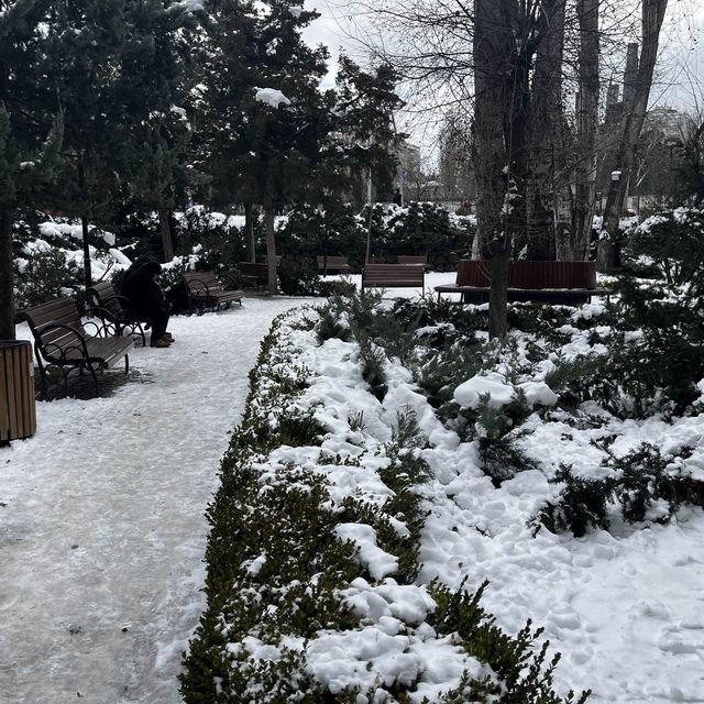 アンカラ中心部のKuğul 公園も雪景色