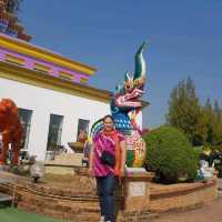 วัดท่าตอน