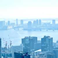 Tokyo tower Stunning views