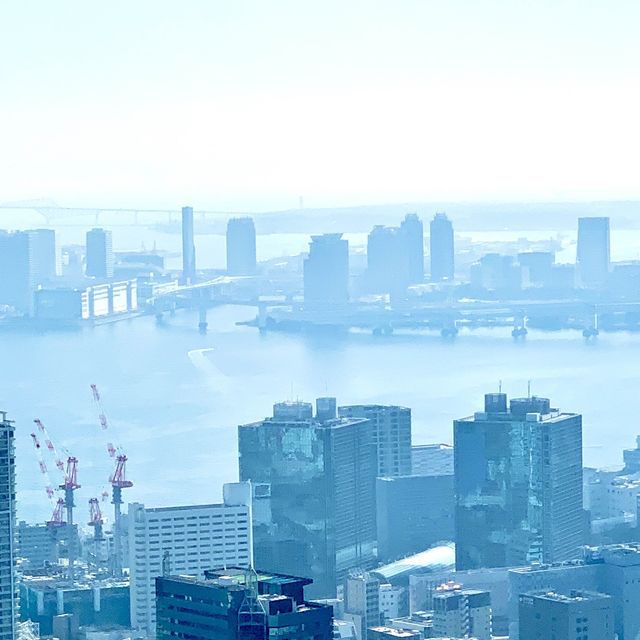 Tokyo tower Stunning views