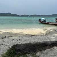 เกาะมัดสุม ทรายขาวกับน้องหมู