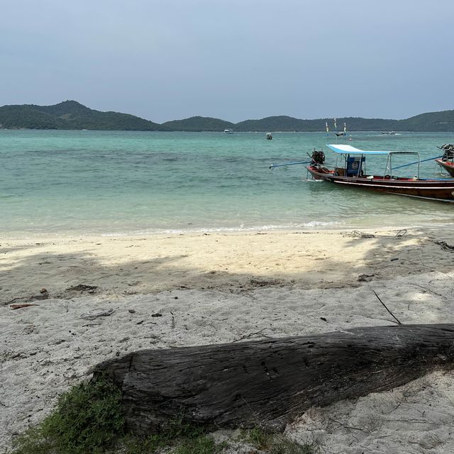 เกาะมัดสุม ทรายขาวกับน้องหมู