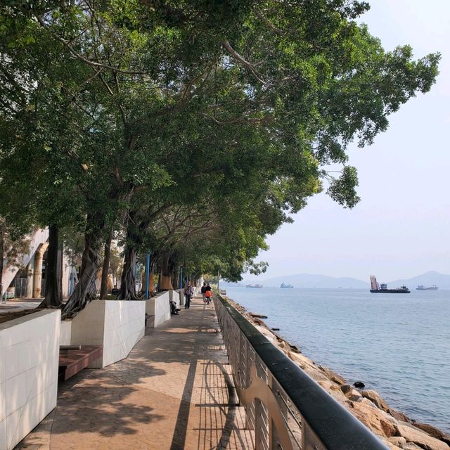 日落夜色之下，格外浪漫吸引