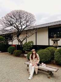 🇯🇵東京🫶🏻愛貓之人必去地方🐱❤️豪德寺📸