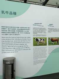 【香港好去處】百年英式古蹟活化。薄鳧林牧場