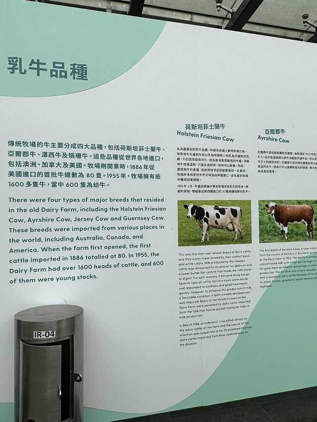 【香港好去處】百年英式古蹟活化。薄鳧林牧場
