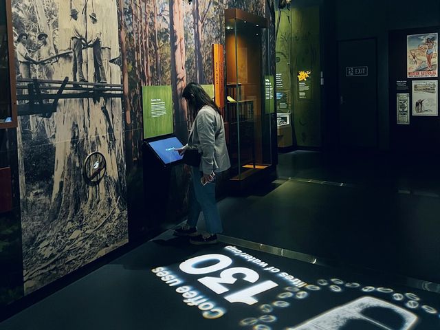 My Ancestors' 🤩🥰 Museum of my vibe🫢😝
