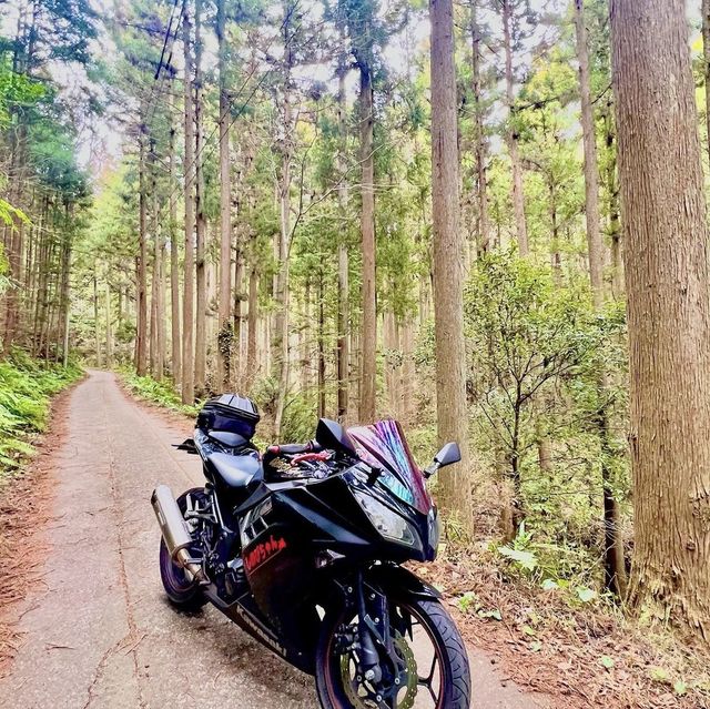 珍布峠