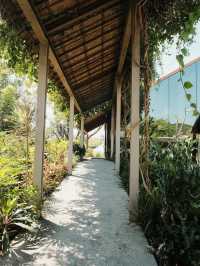 Patom Organic Cafe' at Suan Sampran 🌳🌤️