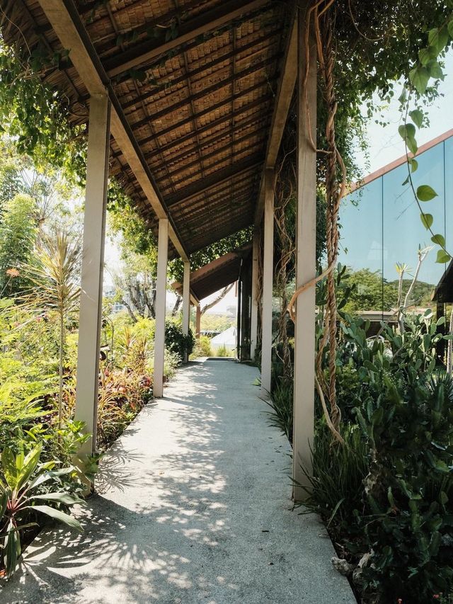 Patom Organic Cafe' at Suan Sampran 🌳🌤️