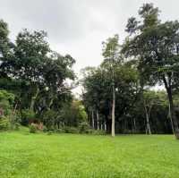 🤹🏻‍♂️蓮花山公園 | 遊山玩水🏵️
